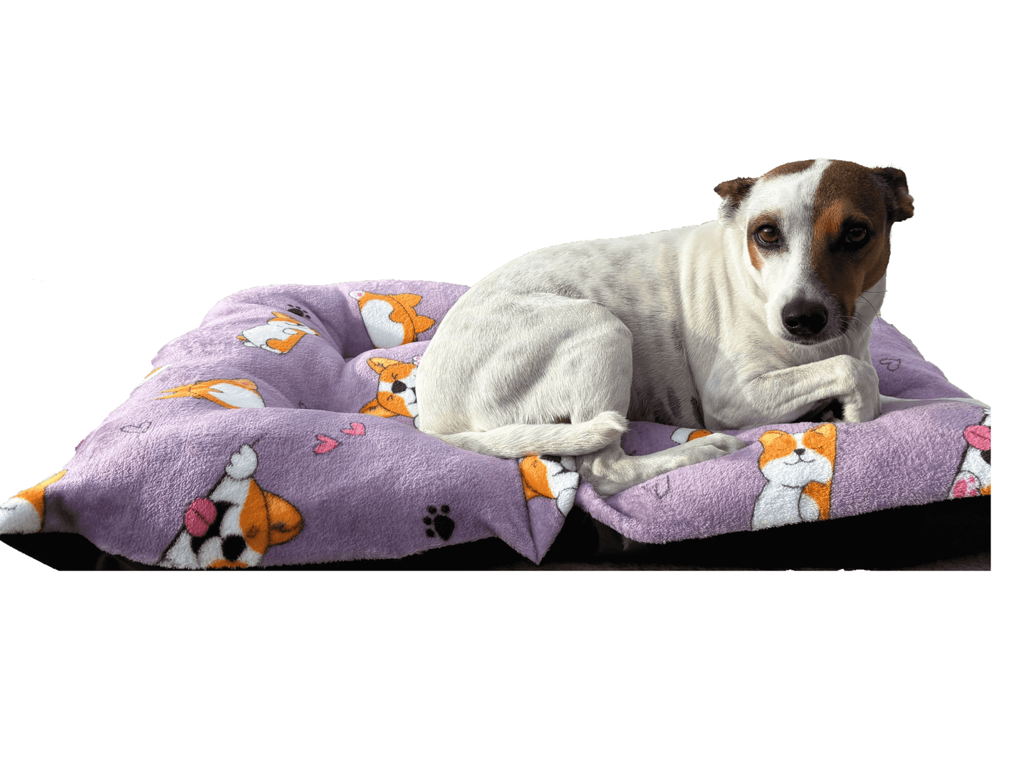 Cama GRANDE afelpada para mascotas Extra comfort Lavable, fresca, ligera y resistente 65 x 80 cm