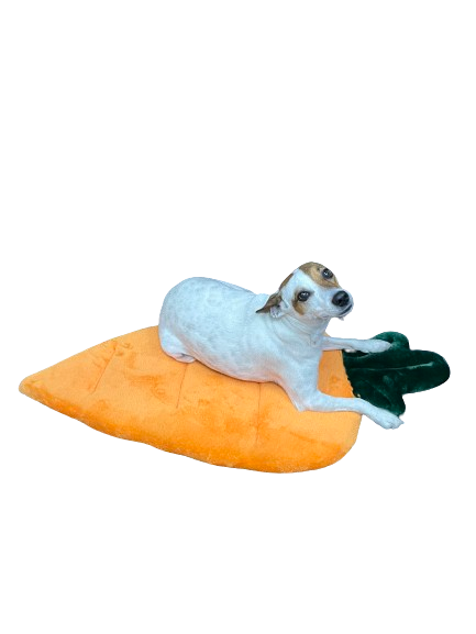 Cama CHICA tipo ZANAHORIA para mascotas comfort Lavable, fresca, ligera y resistente 84x 39 cm